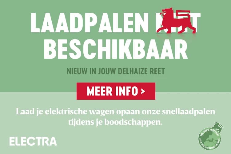 Electra-laadpaal op de parking van Delhaize Reet
